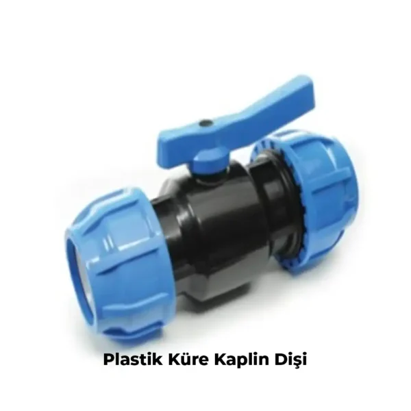 Kaplinler